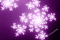 Starblossom